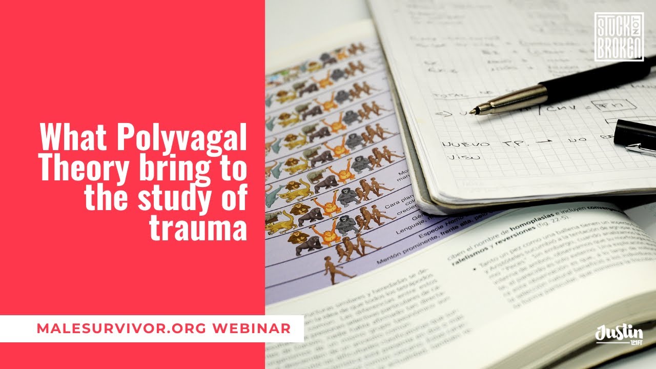 What Polyvagal Theory Brings to the Study of Trauma