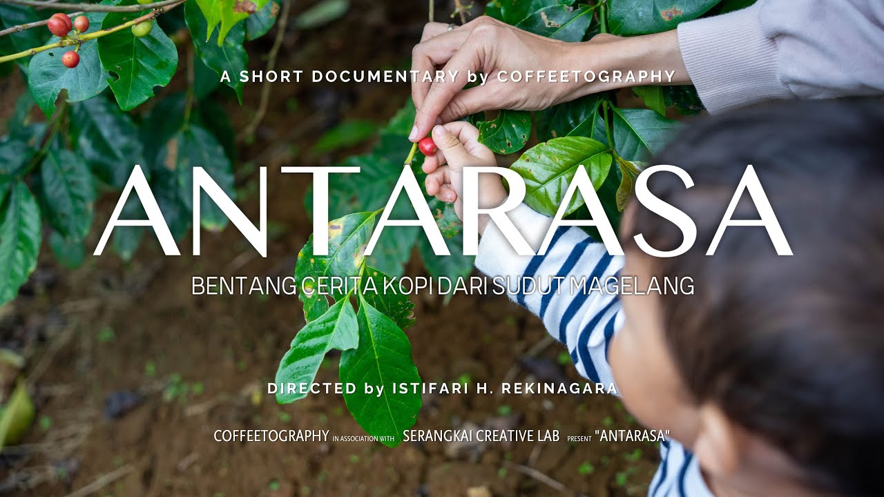 ANTARASA: Bentang Cerita Kopi dari Sudut Magelang | Short Documentary Film