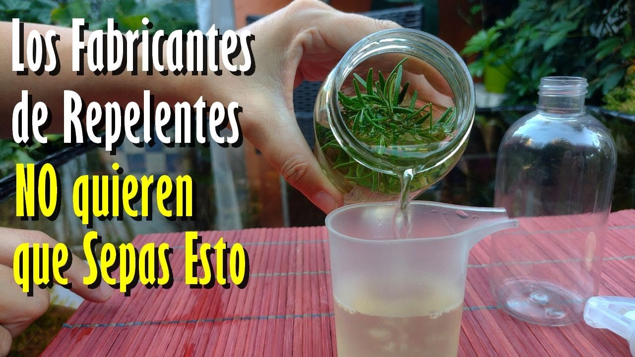 El REPELENTE Casero de MOSQUITOS INFALIBLE , Fácil y Económico