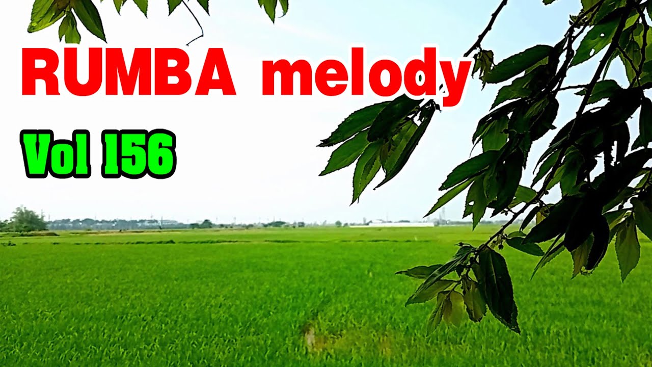 Rumba melody relaxing instrumental music vol 156, Soft music for relaxation and beautify your soul