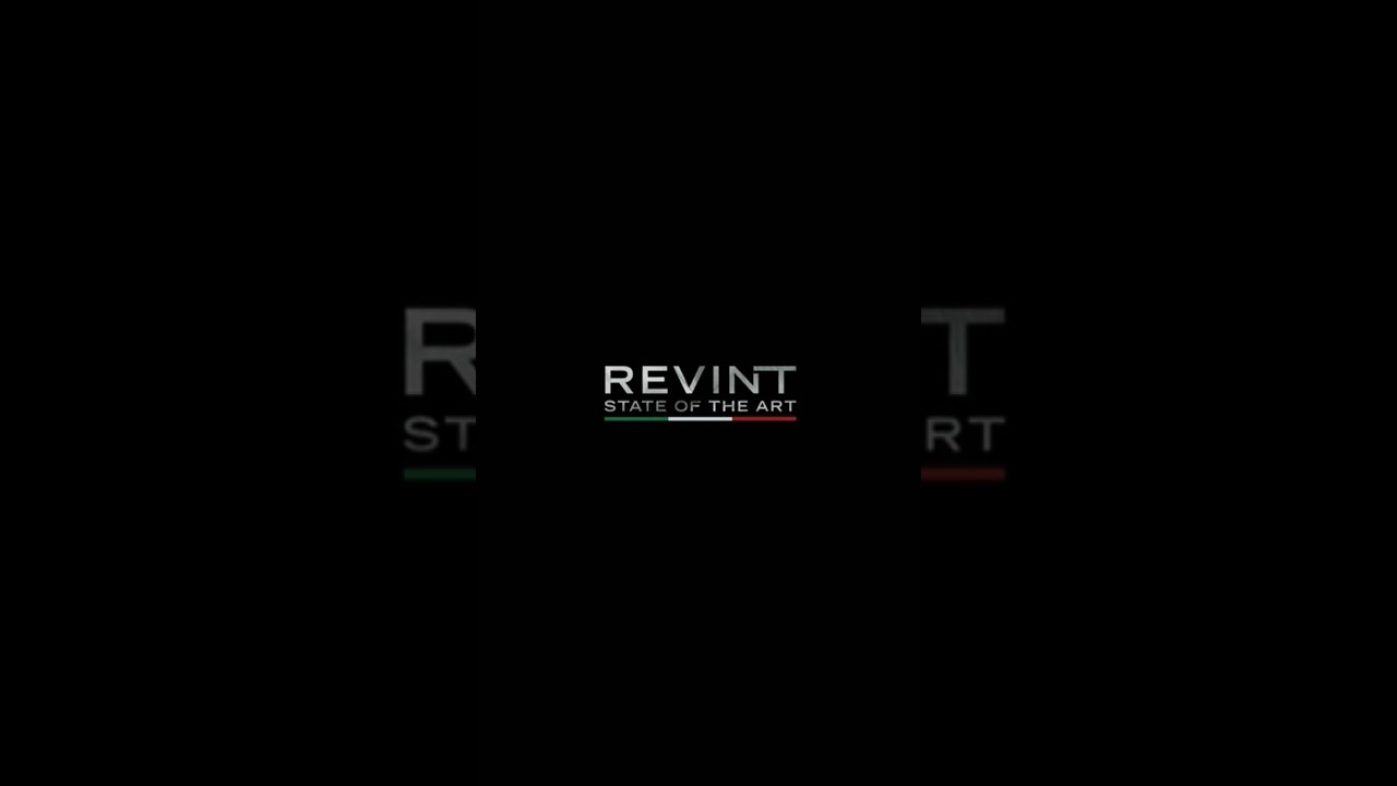 REVINT STATE OF THE ART
