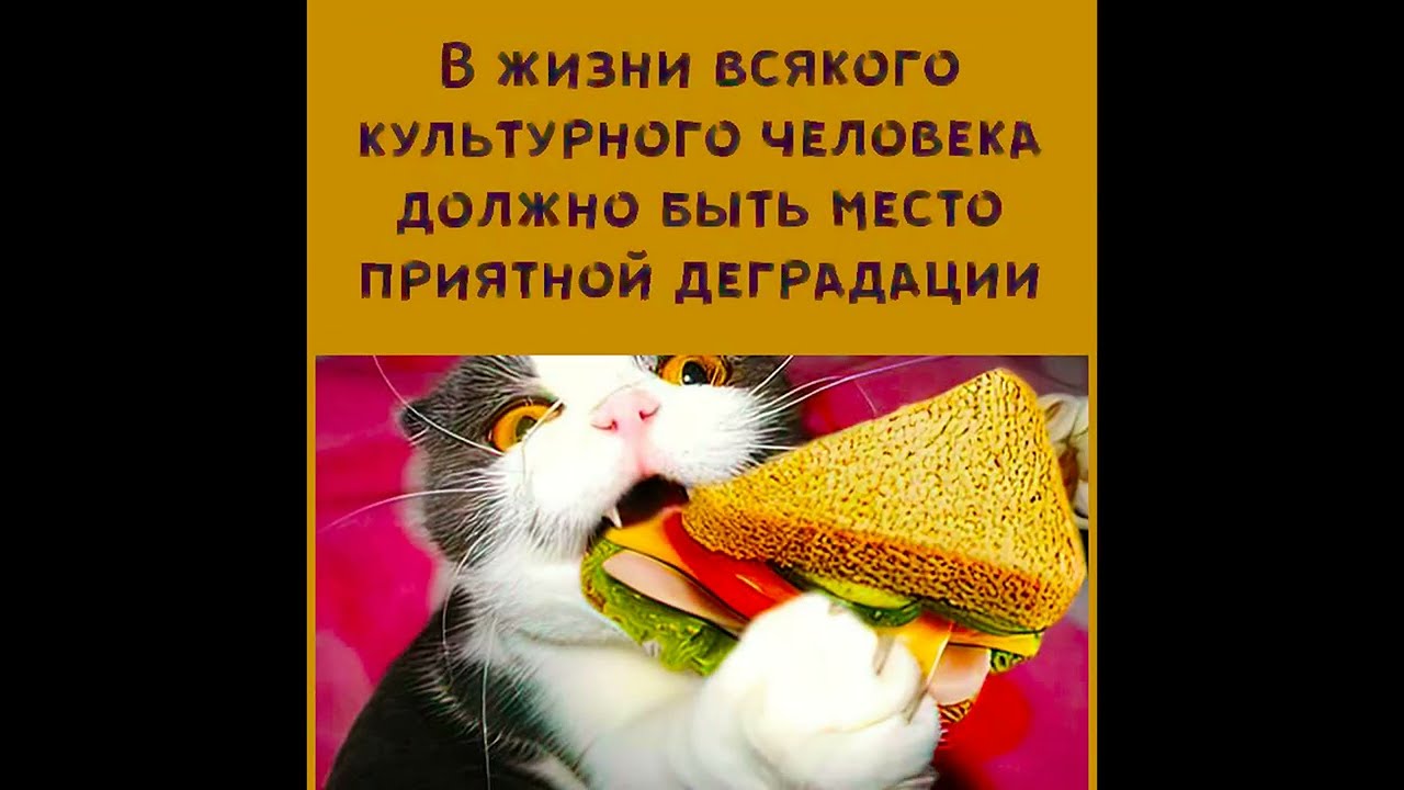😁НЕВЕРОЯТНО  СМЕШНЫЕ  ШУТКИ  ЮМОРА 🧠🧠🧠🧠 Перезапуск 
