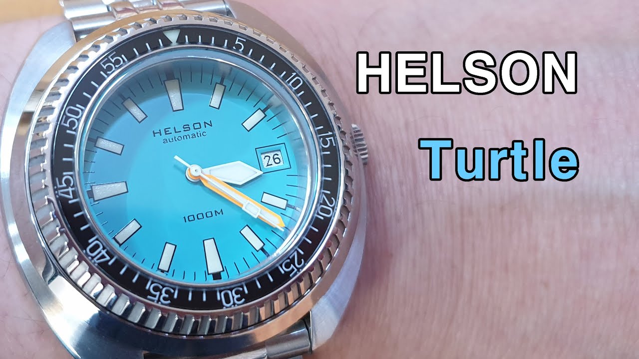 헬슨 (helson turtle) 돼지 거북이