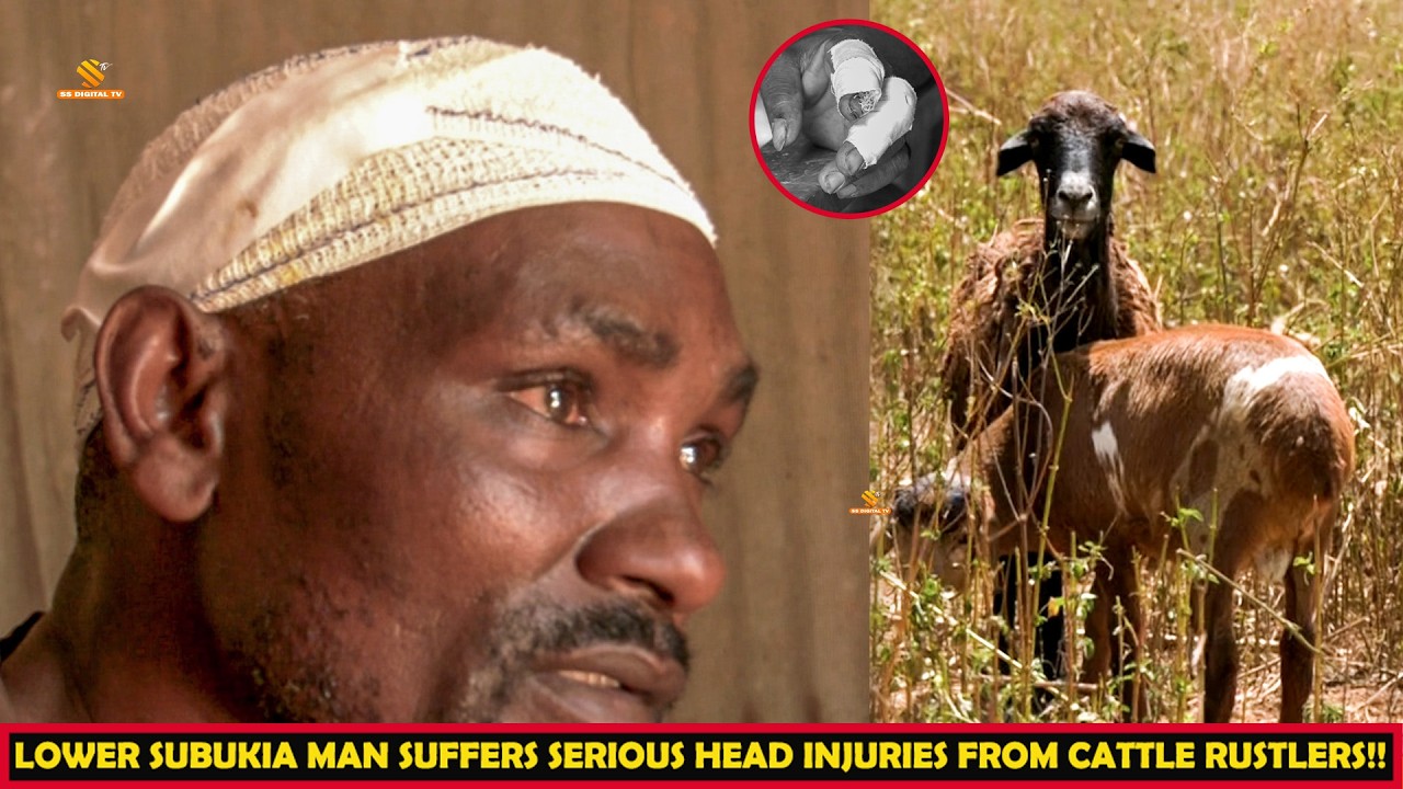 Brutal Night Attack!-Lower Subukia man suffers serious head injuries as rustlers steal sheep