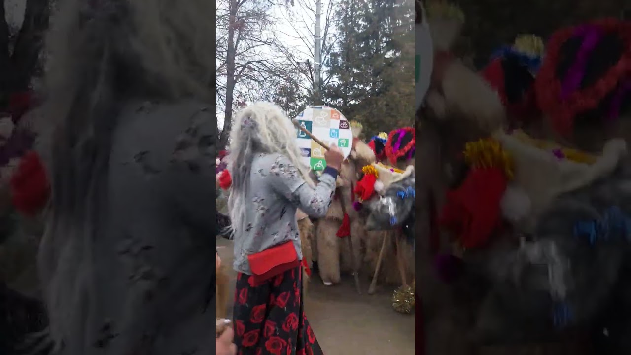 Ursi de la valea ursului 2023