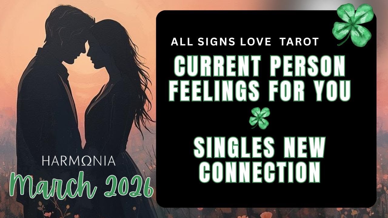 All Signs Love March 2026 💞 Current Person & New Love Tarot Forecast