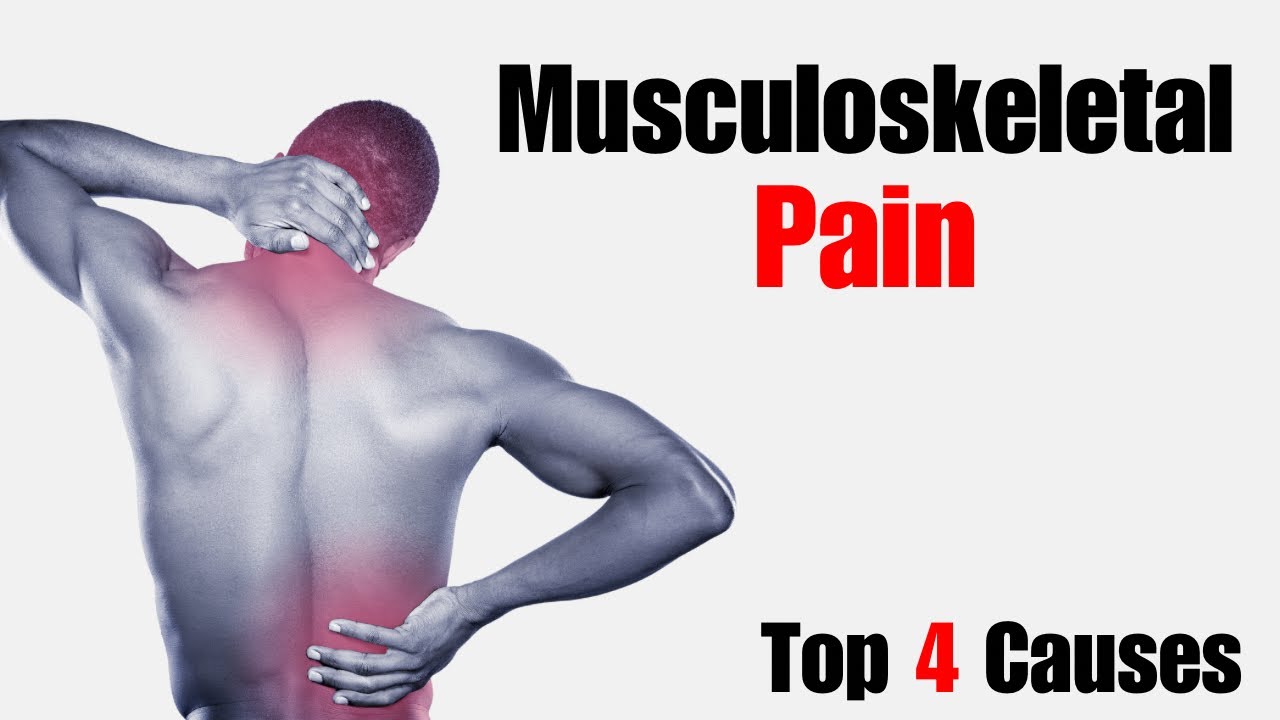 What Causes Musculoskeletal Pain? &mdash; Pain Education Series