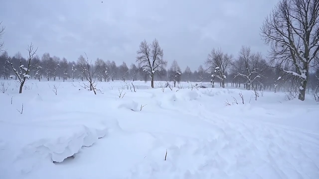 Bet es Tevi vēl satikšu  (Pirmais sniegputenis)