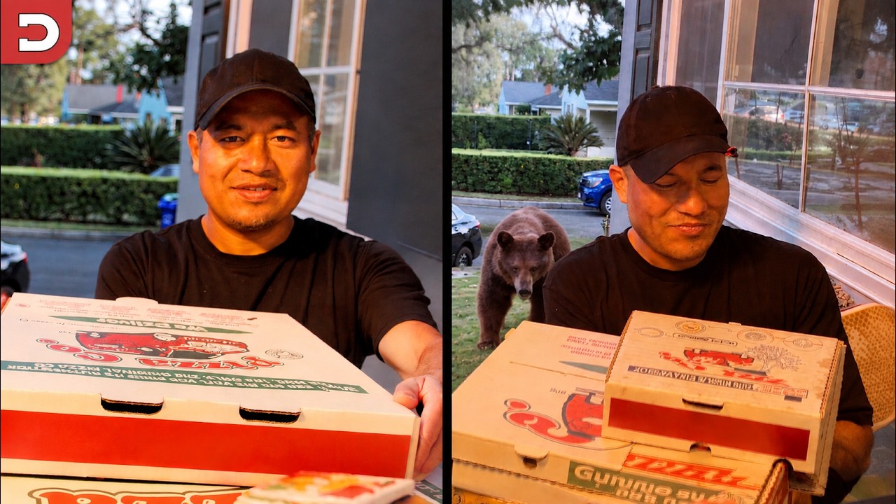 Bear Sneaks Up on Delivery Guy