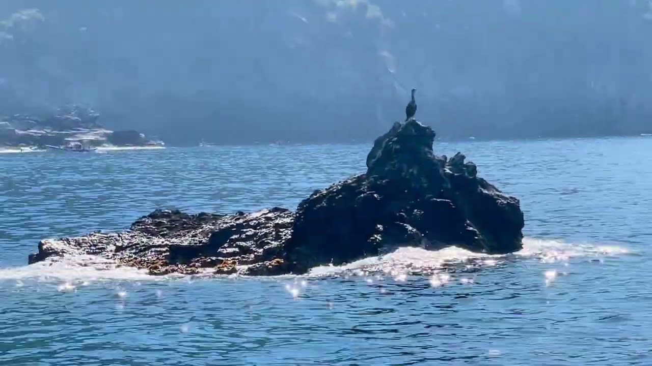 Cinque Terre by Private Boat | Exclusive Day Trip from Florence