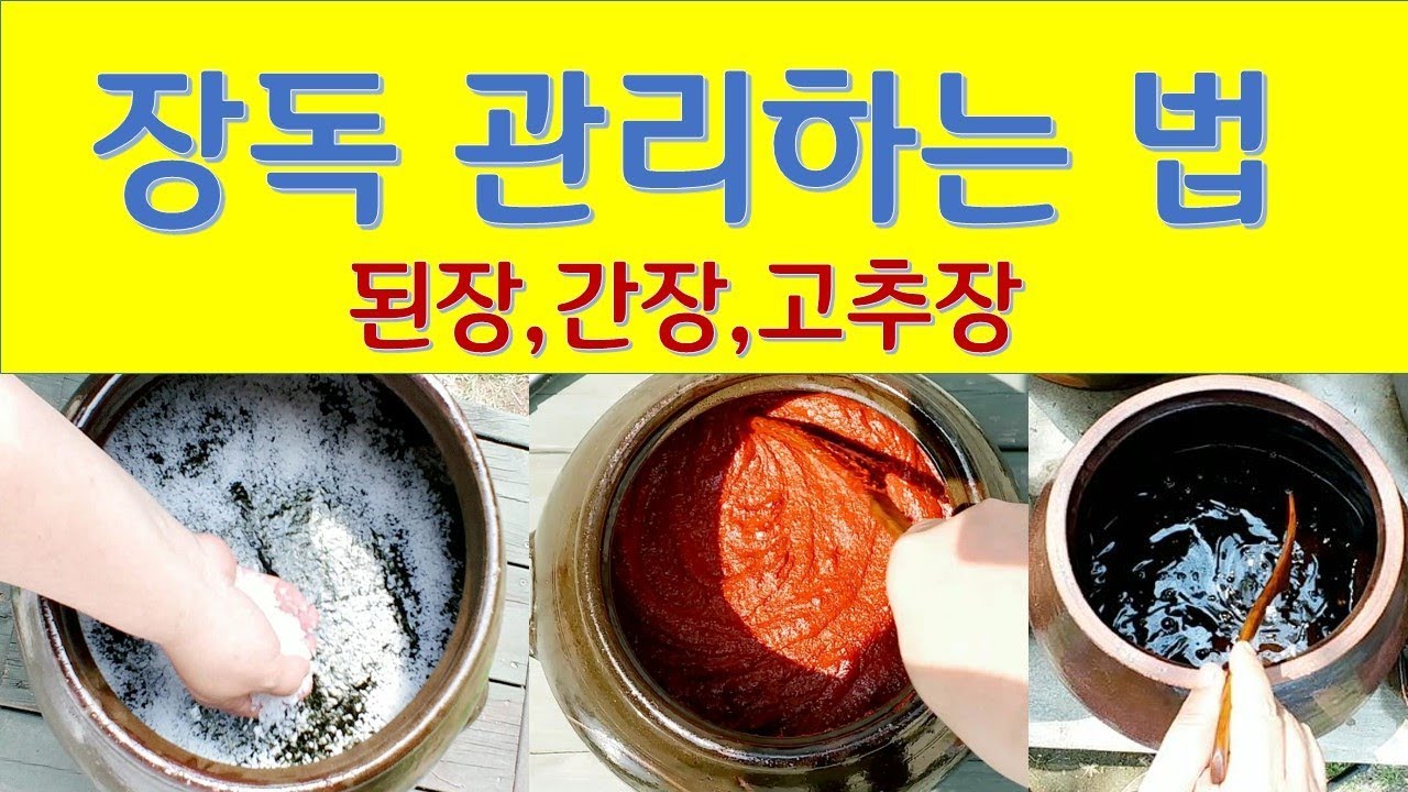 장독 관리 하는 법 (된장 벌레 안나는 법,간장꽃 다루기,고추장 골마지 안나는법)-산도깨비의 열 두달 발효일기