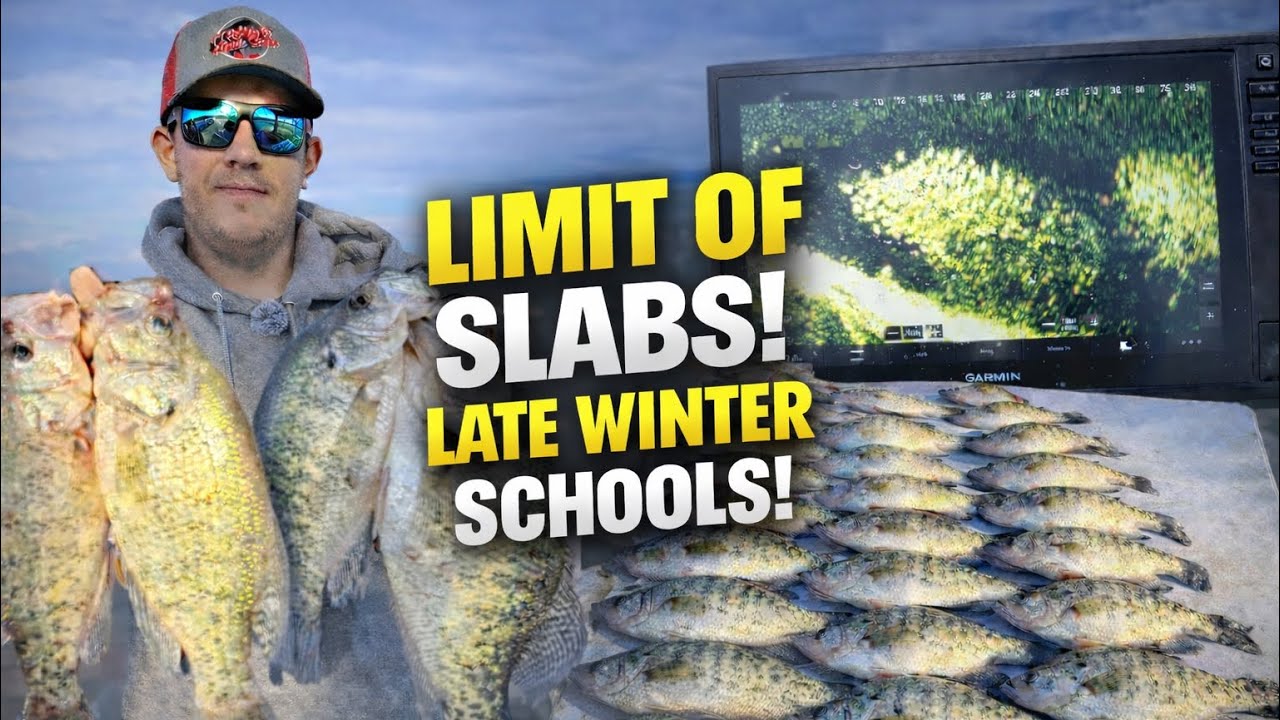 Thousands of schooled up Crappie!!!