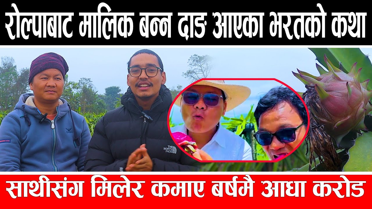 रोल्पाबाट मालिक बन्न दाङ आएका भरतको कथा लाखौंको ड्रागन खेती ,साथीसंग मिलेर कमाए बर्षमै आधा करोड