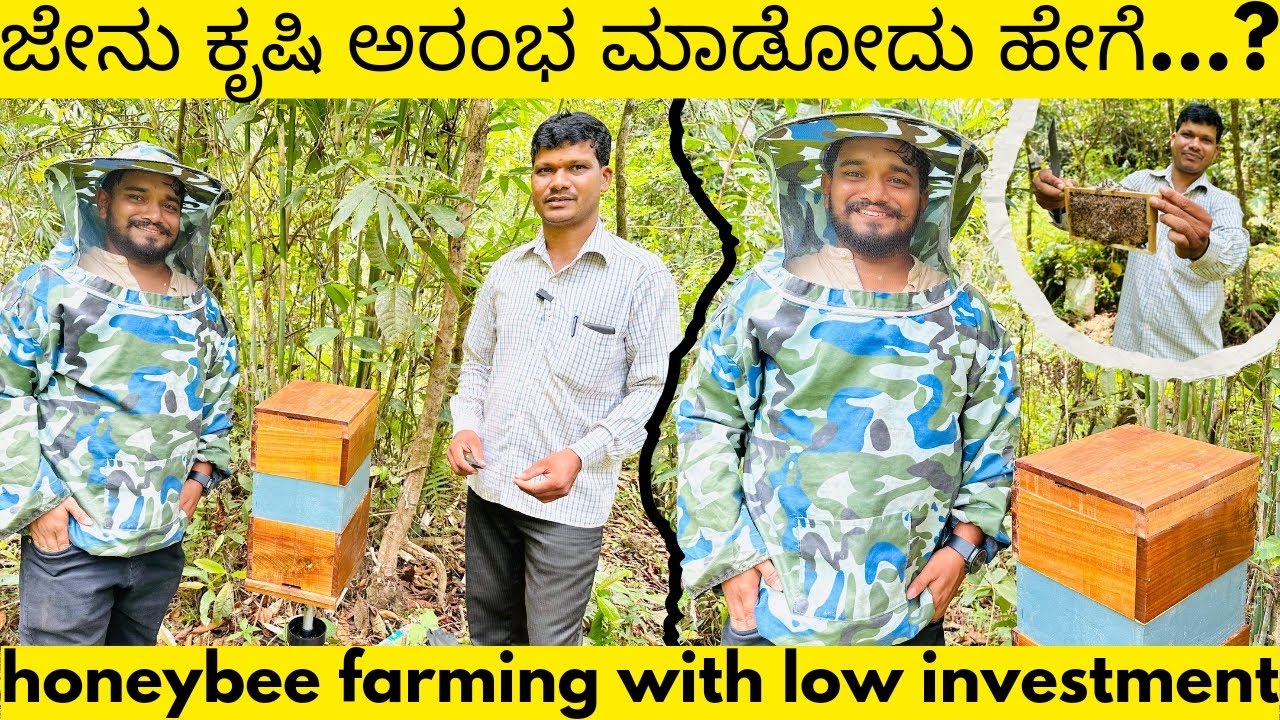 ಜೇನು ಕೃಷಿ ಅರಂಭ ಮಾಡೋದು ಹೇಗೆ? || How to Start Honey Bee Farming at Home for Beginners 2024