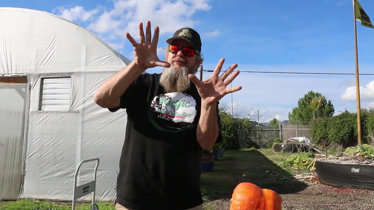 Big Rootz - Big Fruits! EZ Mode - Living Soil - Set it and forget it!