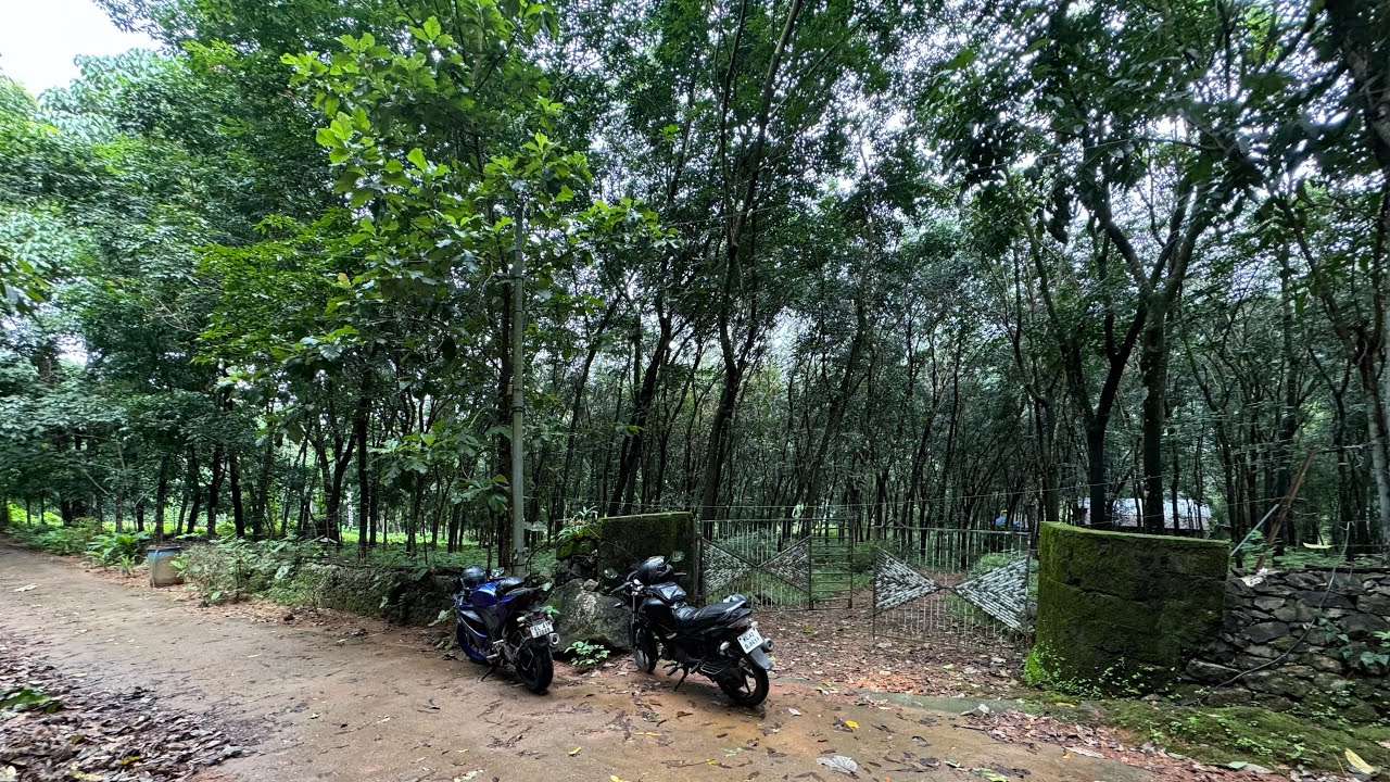 2.5 Acre’s Purayidam Land for Sale in Angamaly, Ernakulam | 75k/Cent Negotiable | Very Urgent Sale