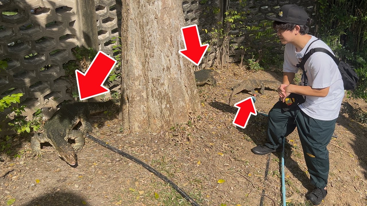 巨大オオトカゲが大量発生する公園に潜入してみた結果&hellip;