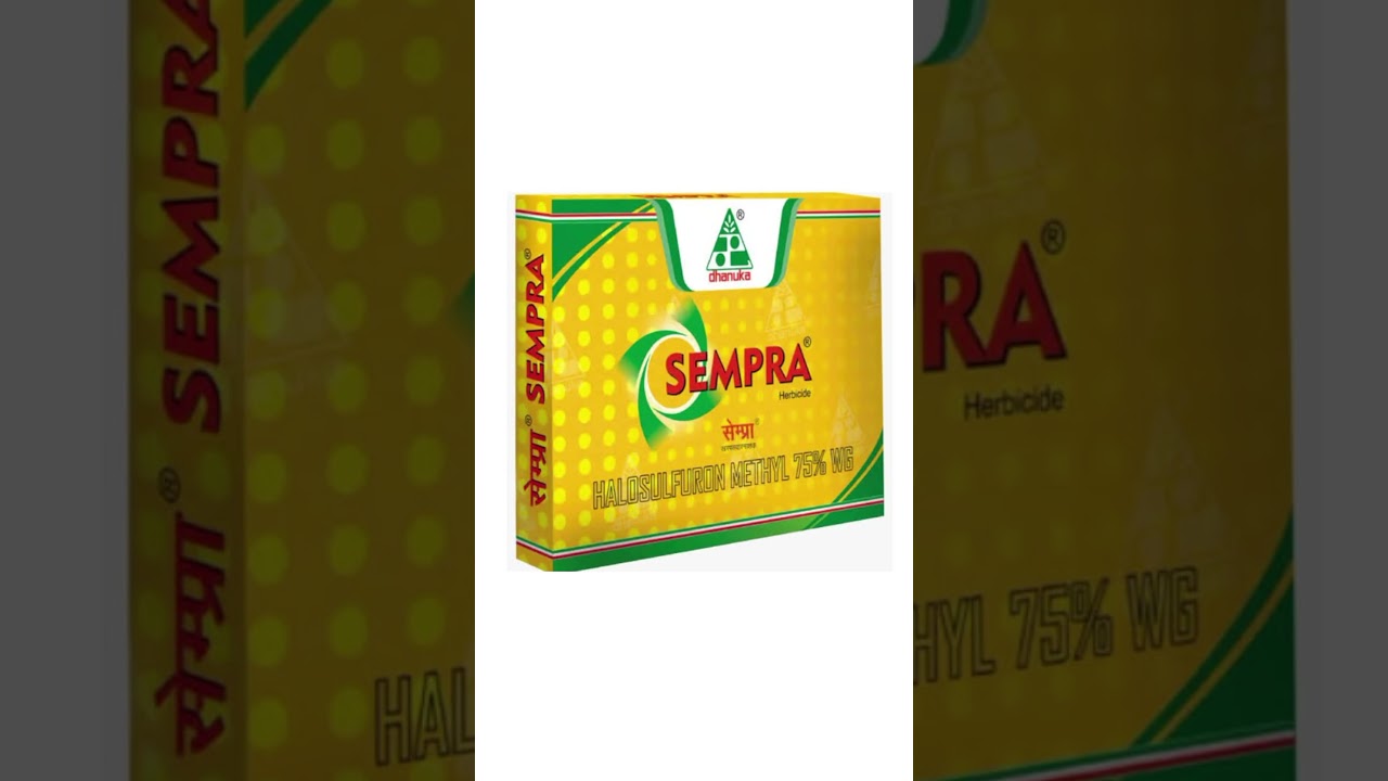 Sempra herbicide| dhanuka sempra herbicide| dhanuka sempra| dhanuka herbicide|sempra dhanuka