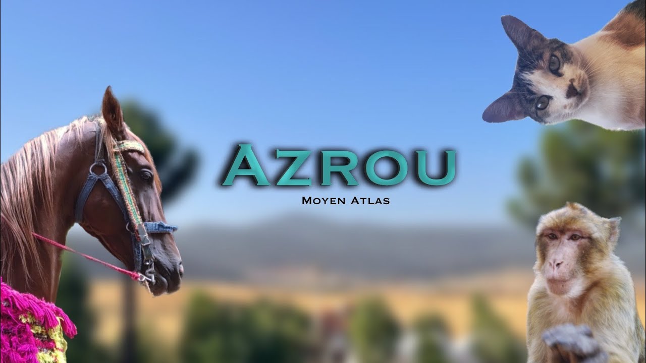 Le”Yellowstone Marocain” AZROU