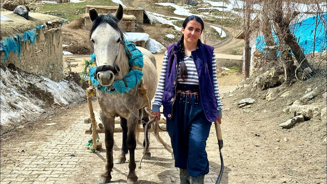 Hayvanları kendi yaptığı doğal bitkisel ilaçlarla tedavi ediyor