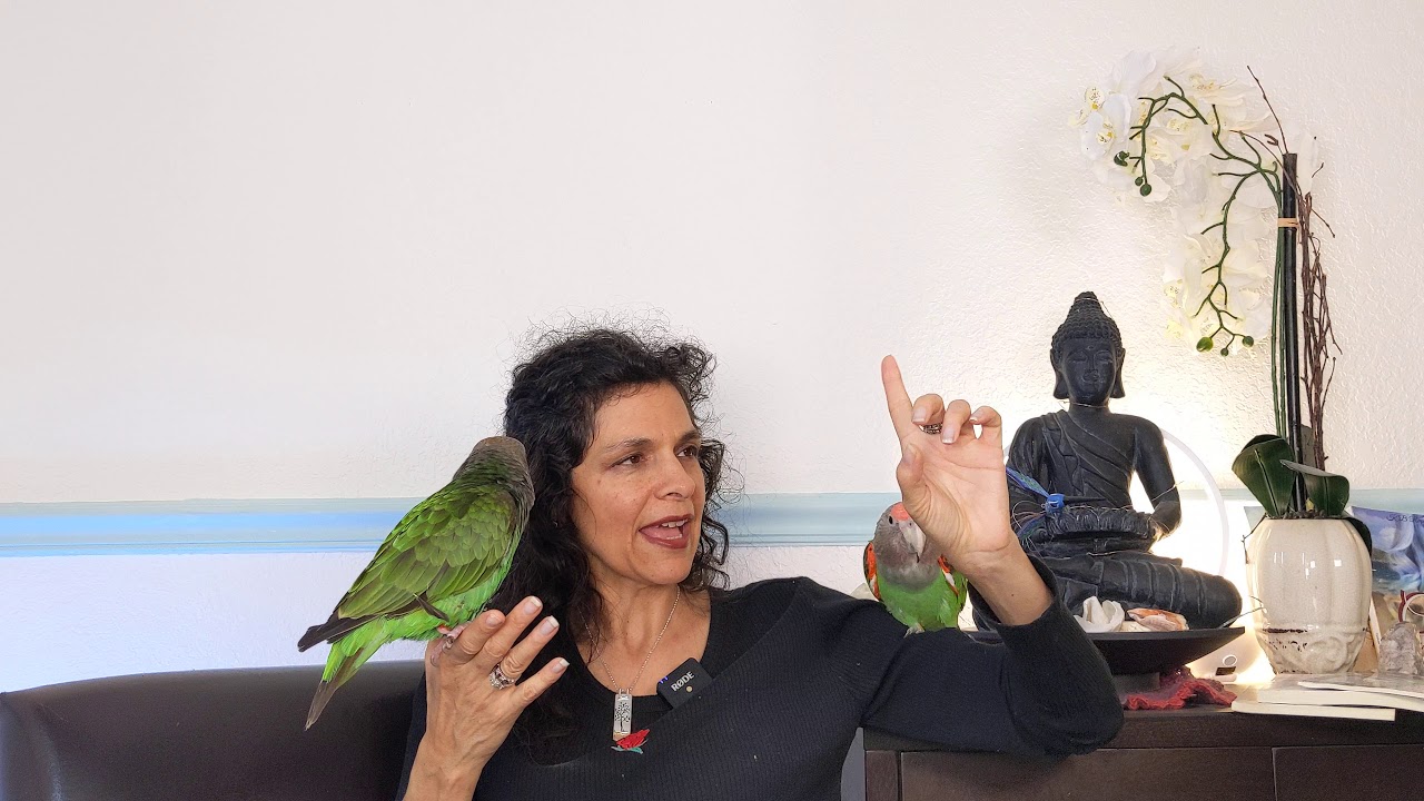 Cape Parrots: How Similar Are Their Personalities?