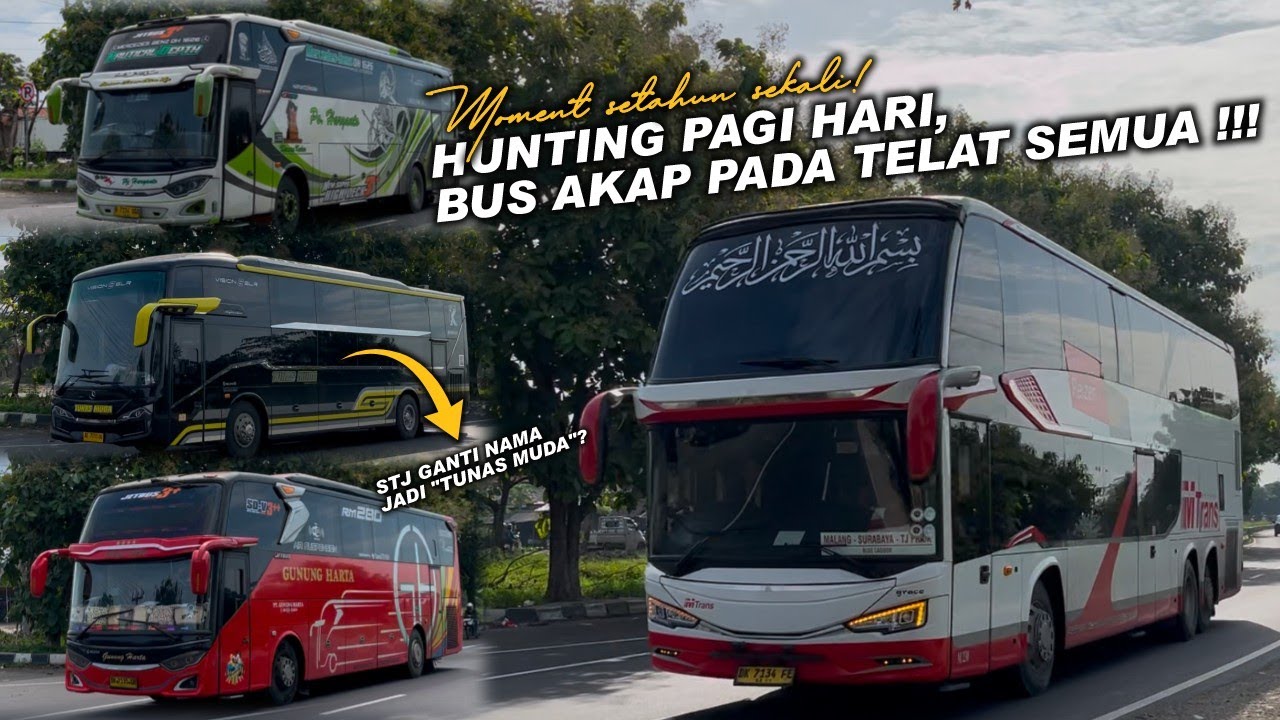 HUNTING BUS AKAP DI PANTURA, PADA TELAT SEMUA❗HUNTING BUS MUDIK LEBARAN DI JALAN PANTURA INDRAMAYU