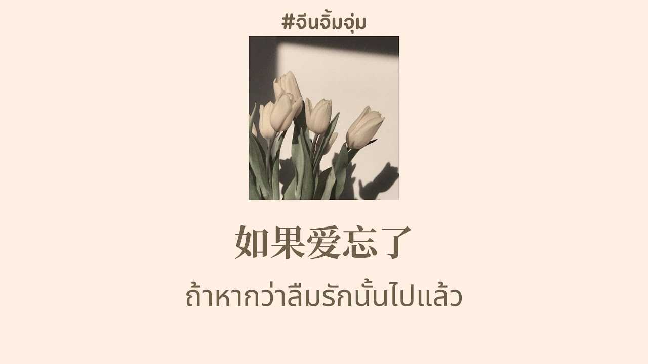 THAISUB | PINYIN] 戚薇 - 如果爱忘了 ถ้าหากว่าลืมรักนั้นไปแล้ว  | เพลงจีนแปลไทย