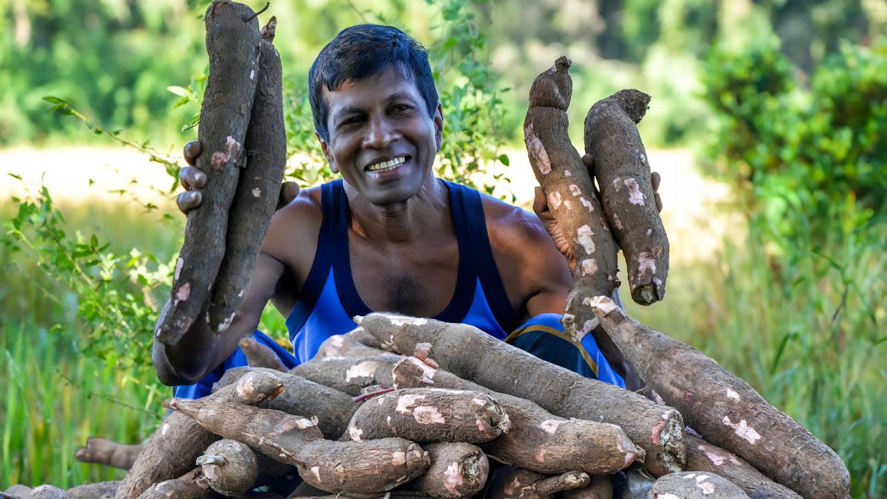 Gluten-free Deviled Cassava Recipe | Garden Fresh Spicy Cassava Taste Cooking | Bada's Kitchen