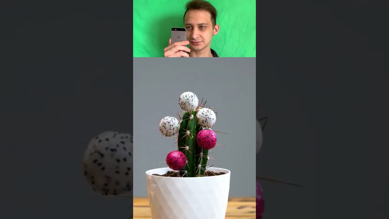 Разоблачение лайфхака кактус и драконий фрукт
