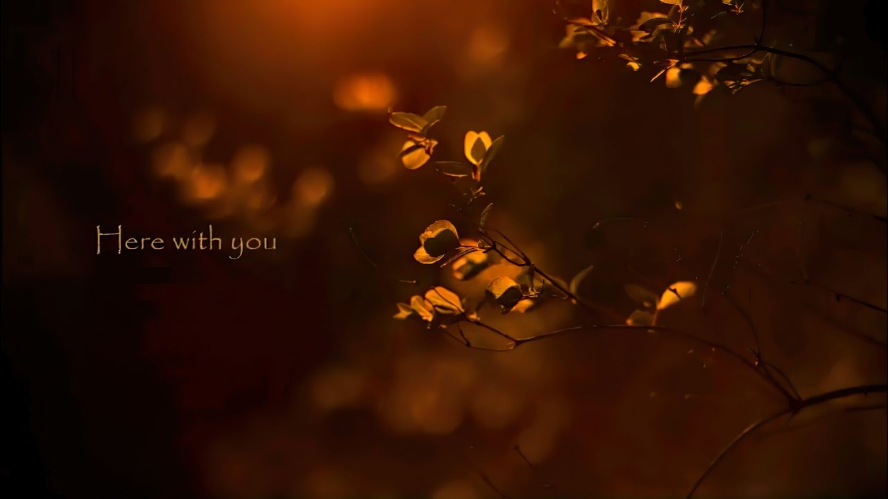 Daylight Dies - Solitary Refinement (Lyrics)