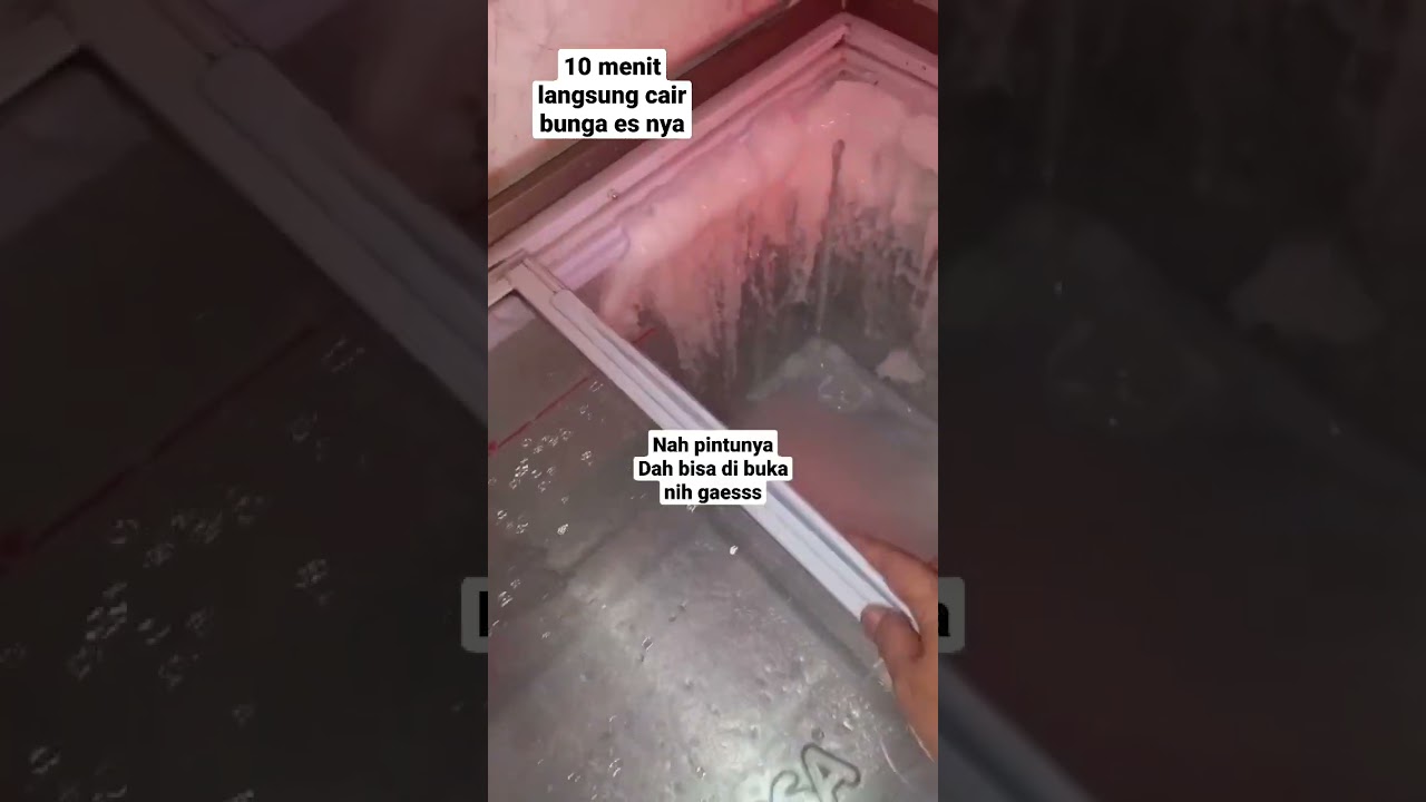 Cara membersihkan Bunga es Freezer dengan cepat dan aman #youtubeshorts #shorts #tips