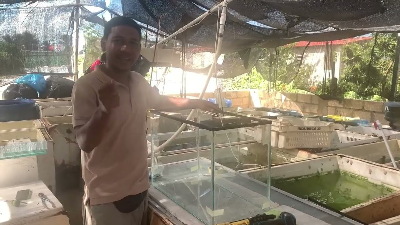 Como ensamblar la pecera