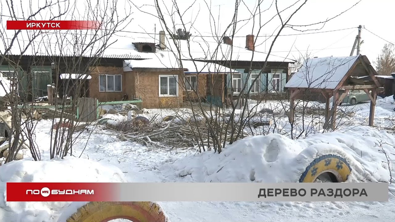 Сразу шесть деревьев спили во дворе по улице Блюхера в Иркутске