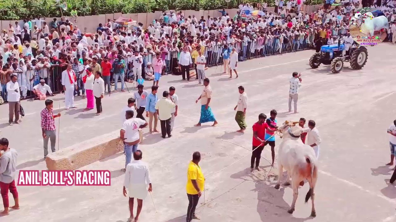జాక్పాట్ శ్రీ అవధూతకొండయ్యస్వామిజత 3 పందికోన గ్రామంపత్తికొండనియోజకవర్గంకర్నూలుజిల్లా ఉప్పరి సుందరప్ప