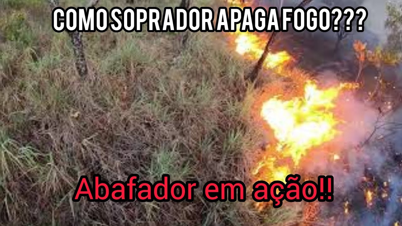 Combate florestal com soprador e abafador