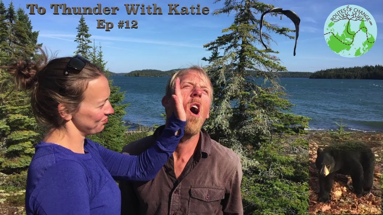 Seeing a bear from a Canoe to Thunder Bay - Ep #12