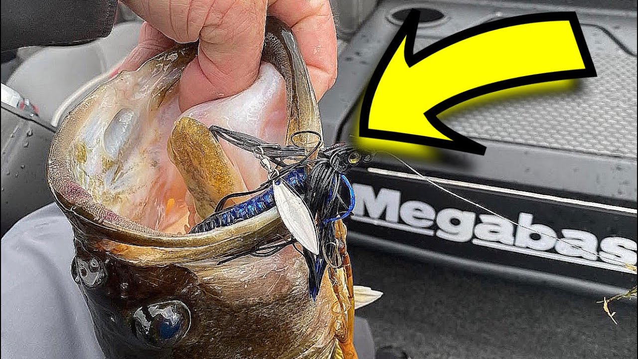 The Most Important Swimjig Trick Every Angler Should Know…