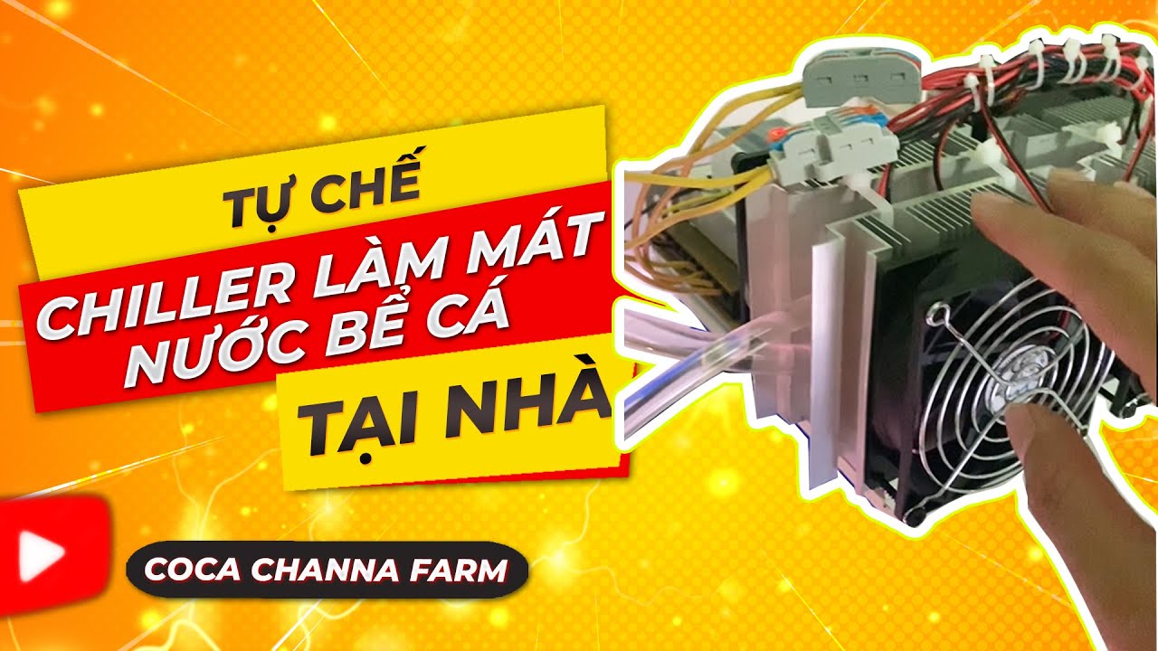 Tự Chế Chiller Siêu Rẻ Làm Mát Bể Cá Tại Nhà – Hiệu Quả Bất Ngờ!
