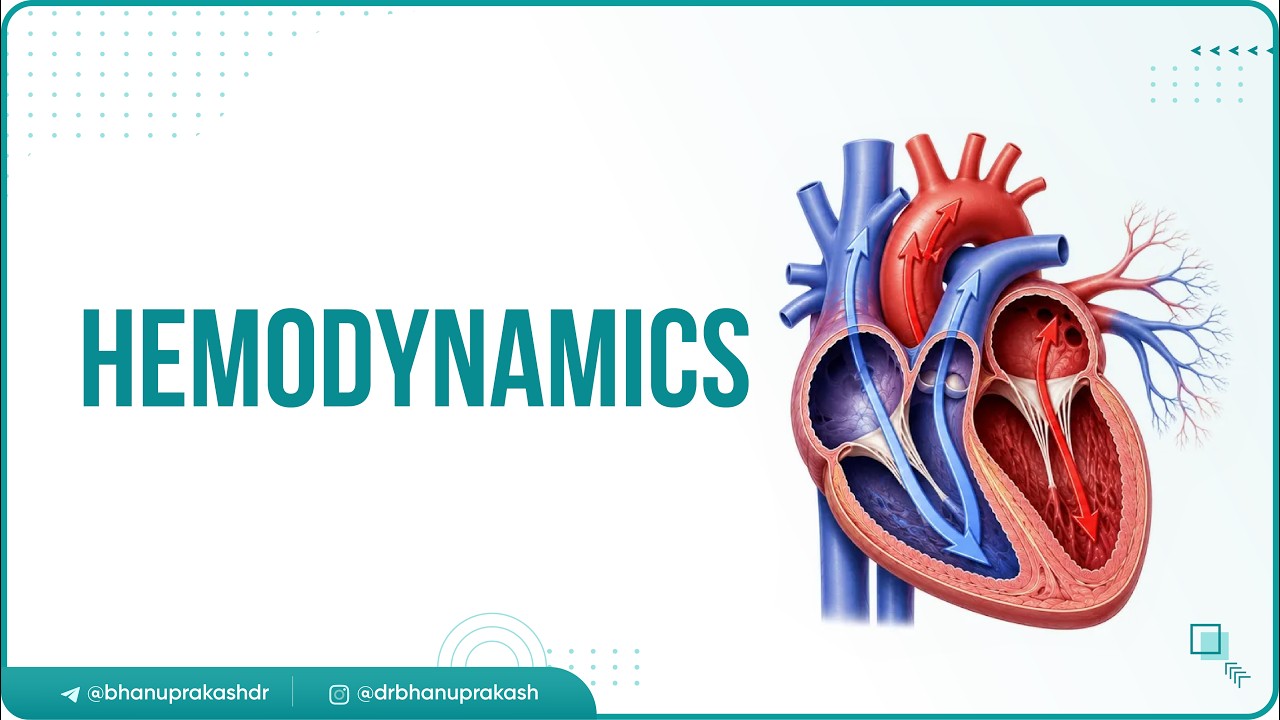 11. Гемодинамика | Сердечно-сосудистая физиология | USMLE Step 1 ⚡📊