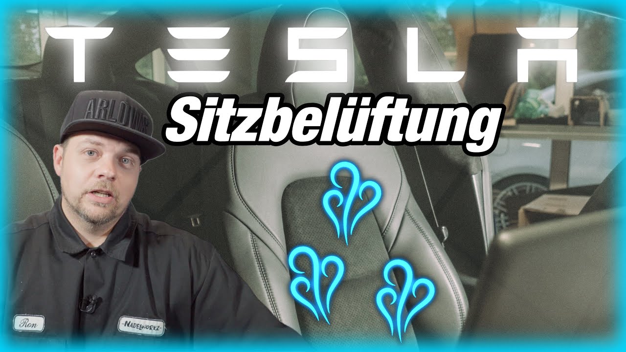 Tesla Model 3 Sitzbel&uuml;ftung wir k&ouml;nnen helfen