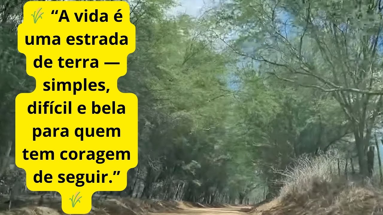 Estradas de Terra &mdash; Onde o Simples Revela o Essencial