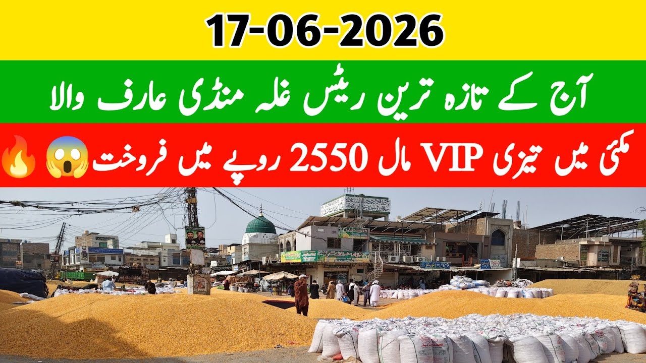 Arifwala Mandi Rates Today | Wheat, Dhan & Makki | 17-06-2026 