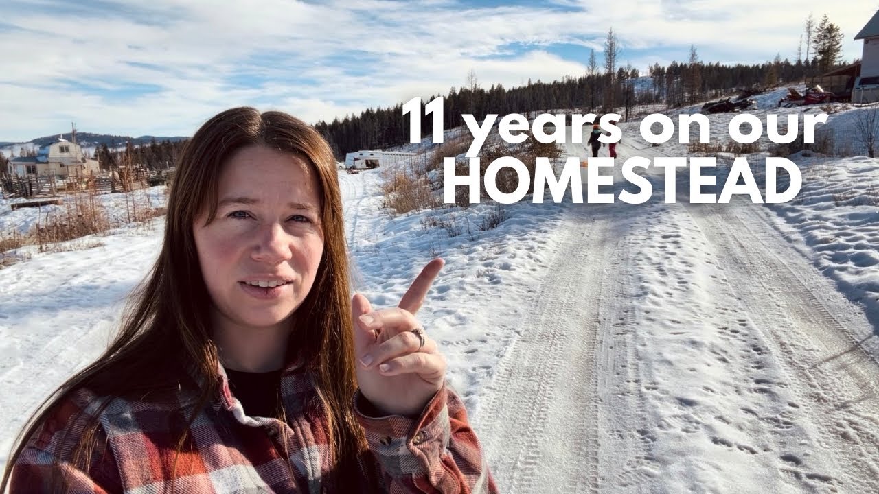 ЭКСКУРСИЯ ПО НАШЕМУ УЧАСТКУ - Вот все, что происходит на нашем участке площадью 30 акров в горах,...