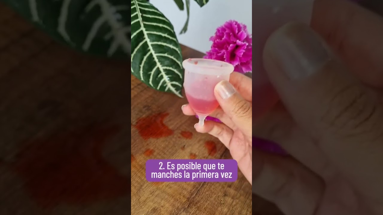 Usando la copa menstrual por primera vez 😬✌🏽