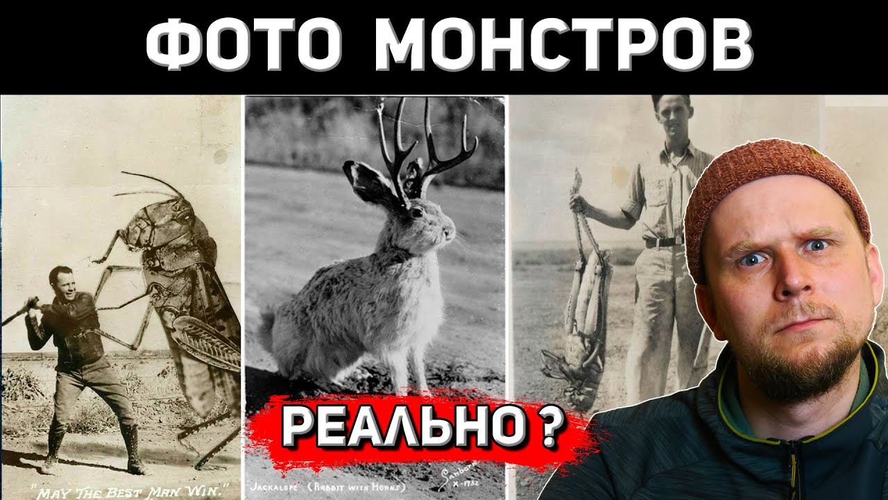 ФОТОГРАФИИ МОНСТРОВ! ПРАВДА или НЕТ?
