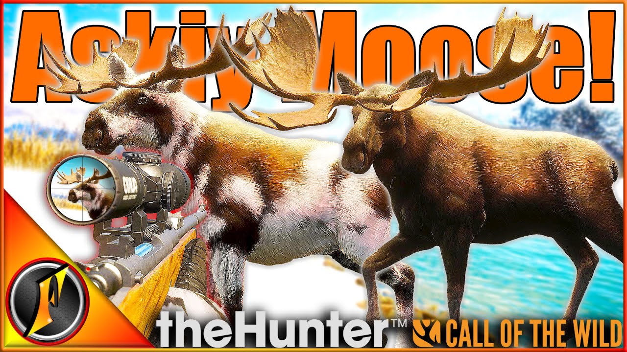 В погоне за лосями на многопользовательском режиме хребта Аски! | theHunter Зов дикой природы