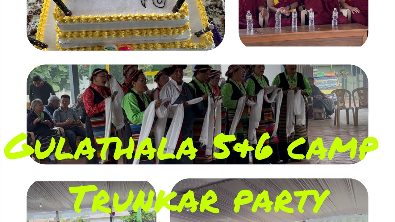 Gulladhalla 5&6 camp trunkar # zamling chisang