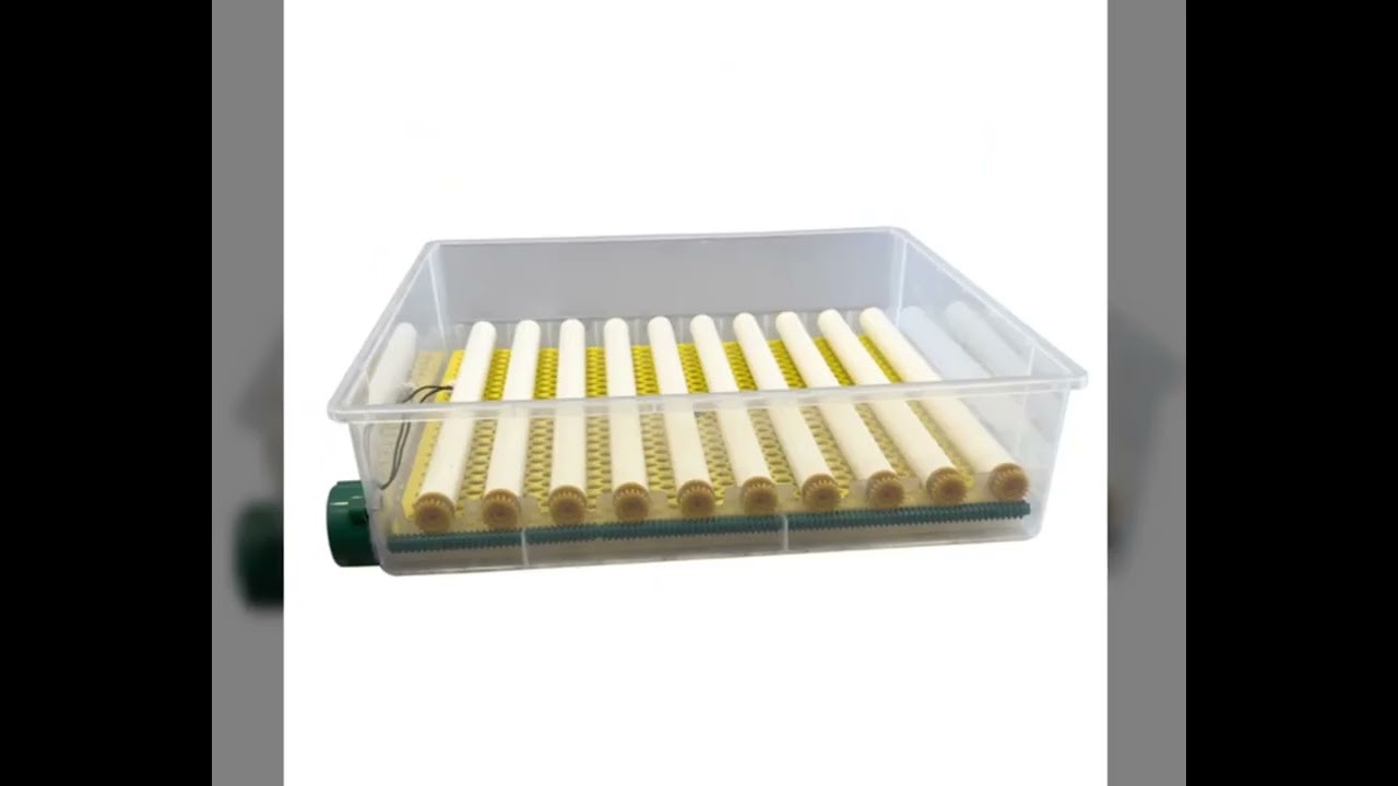Incubator Clocitoare 70 Oua Gaina Rata Gasca Prepelite Pui Intoarcere Automata Ovoscop Temp + Umid