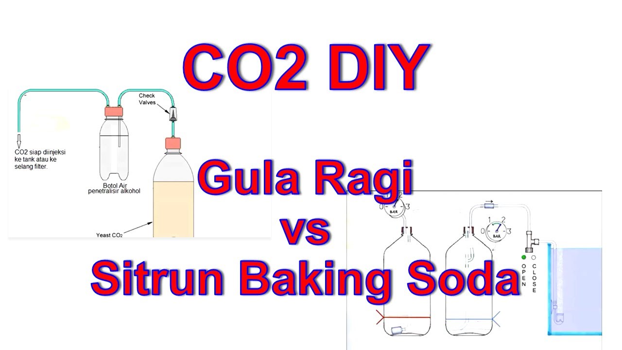 AQUASCAPE - CO2 DIY Gula-Ragi dan Sitrun-Baking Soda