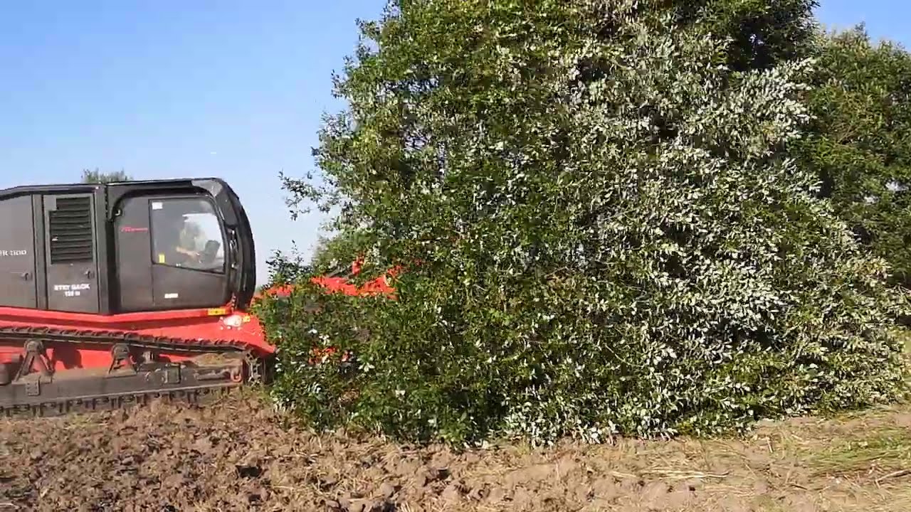 Розчистка дерев для поля PRINOTH RAPTOR800